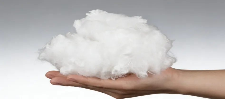 Szűz rost vagy újrahasznosított rost – melyiket válassza?